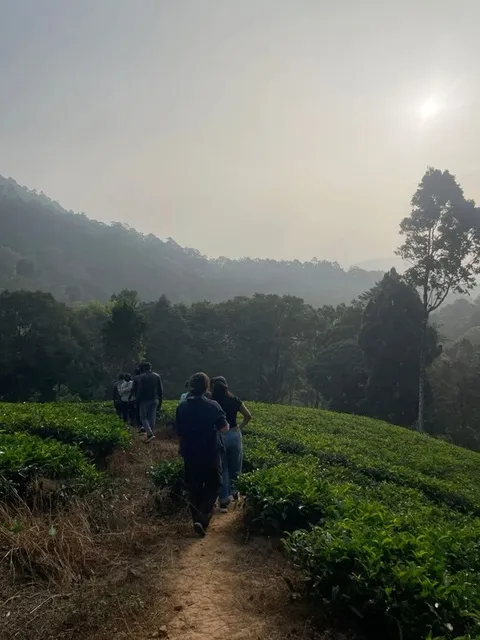 Guests on a guided nature walk