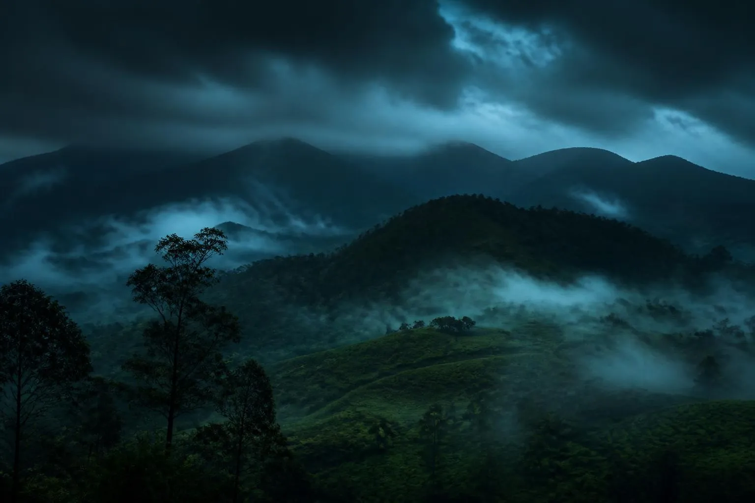 Mist drifting across the forested hills of Wayanad at dawn