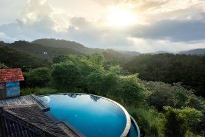 Read more about the article Beyond the Ordinary: Jungle Edge – A Soulful Standout Among Resorts in Wayanad