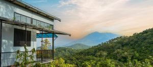 Read more about the article Discover the Charm of Resorts in Wayanad: A Perfect Family Getaway